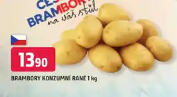 Trefa BRAMBORY KONZUMNÍ RANÉ 1 kg nabídka