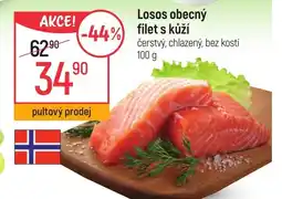 Globus Losos obecný filet s kůží nabídka