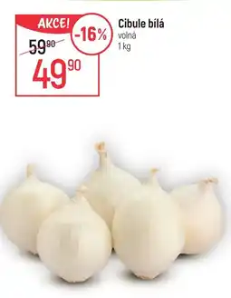 Cibule bílá