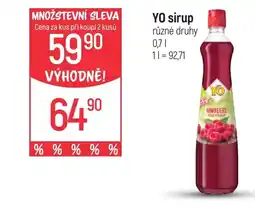 Globus YO sirup nabídka