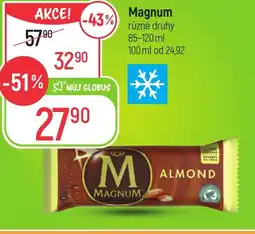 Globus Magnum nabídka