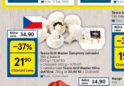 Tesco Žampiony zahradní nabídka