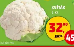 Penny Market KVĚTÁK nabídka