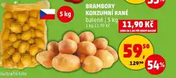Penny Market BRAMBORY KONZUMNÍ RANÉ nabídka