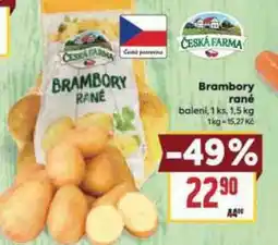 Billa Brambory rané nabídka