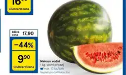 Tesco Meloun vodní nabídka