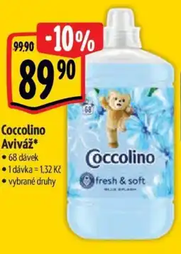 Albert Coccolino Aviváž nabídka