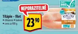 Albert Tilápie - filet nabídka