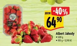 Albert Albert Jahody nabídka