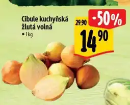 Albert Cibule kuchyňská žlutá volná nabídka