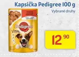 Kubík potraviny Kapsička Pedigree 100 g nabídka