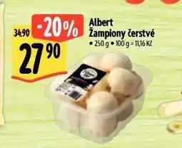 Albert Žampiony čerstvé nabídka