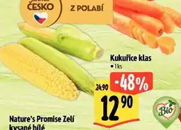 Albert Kukuřice klas nabídka