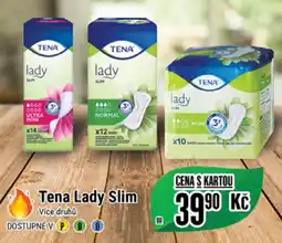 Tena Lady Slim