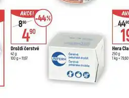 Globus Droždí čerstvé nabídka