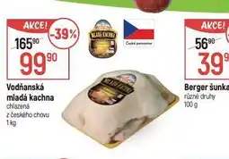 Vodňanská mladá kachna
