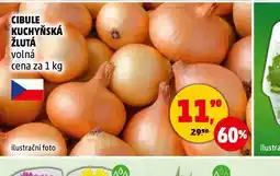 Penny Market Cibule kuchyňská žlutá nabídka