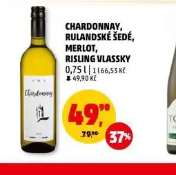 Penny Market Chardonnay nabídka