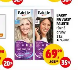 Penny Market Palette barva na vlasy nabídka