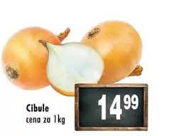 Qanto Cibule nabídka