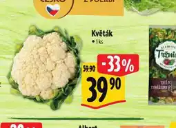 Albert Květák nabídka