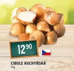 Terno Cibule kuchyňská žlutá nabídka