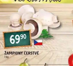 Žampiony čerstvé