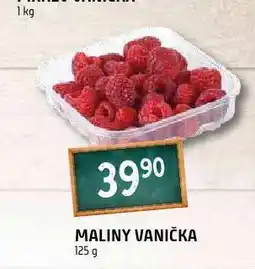 Terno Maliny nabídka
