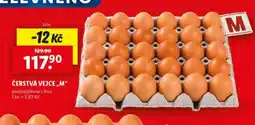 Lidl Vejce m nabídka