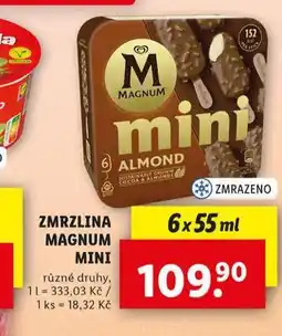Lidl Zmrzlina magnum nabídka
