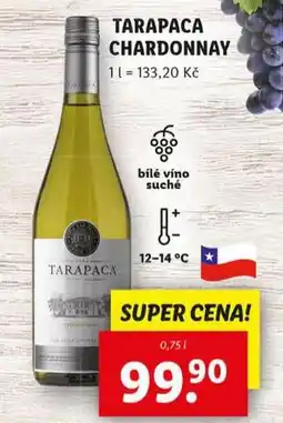 Lidl Tarapaca chardonnay nabídka