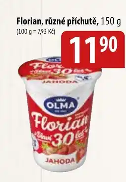 Bala OLMA Florian nabídka