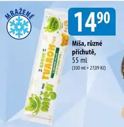 MIŠA