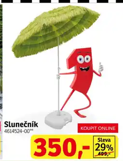 Slunečník