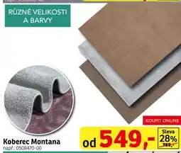 Asko Koberec Montana nabídka