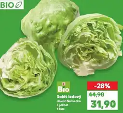 Kaufland Salát ledový nabídka