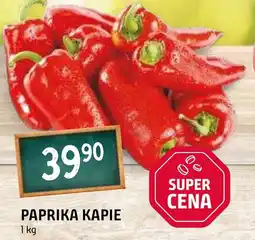 Terno Paprika Kapie nabídka