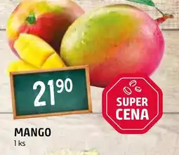Terno Mango nabídka