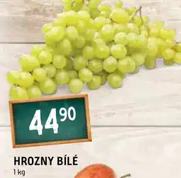 Terno Hrozny Bílé nabídka