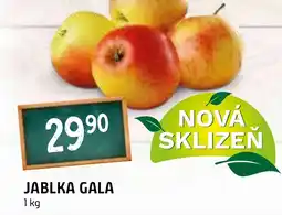 Terno Jablka Gala nabídka