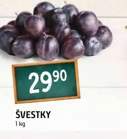Terno Švestky nabídka