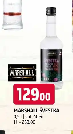 Terno MARSHALL ŠVESTKA nabídka