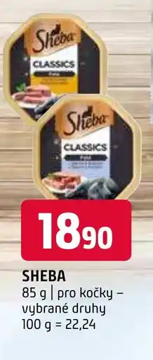 Terno SHEBA nabídka