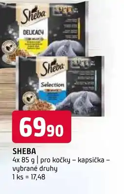Terno SHEBA nabídka
