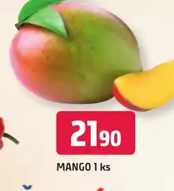 Trefa Mango nabídka