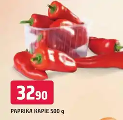Trefa Paprika Kapie nabídka