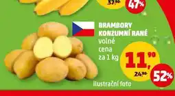 Penny Market Brambory konzumní rané nabídka