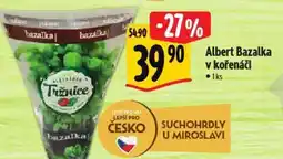 Albert Albert Bazalka v kořenáči nabídka