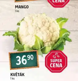 Terno Květák nabídka