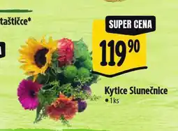 Kytice slunečnice